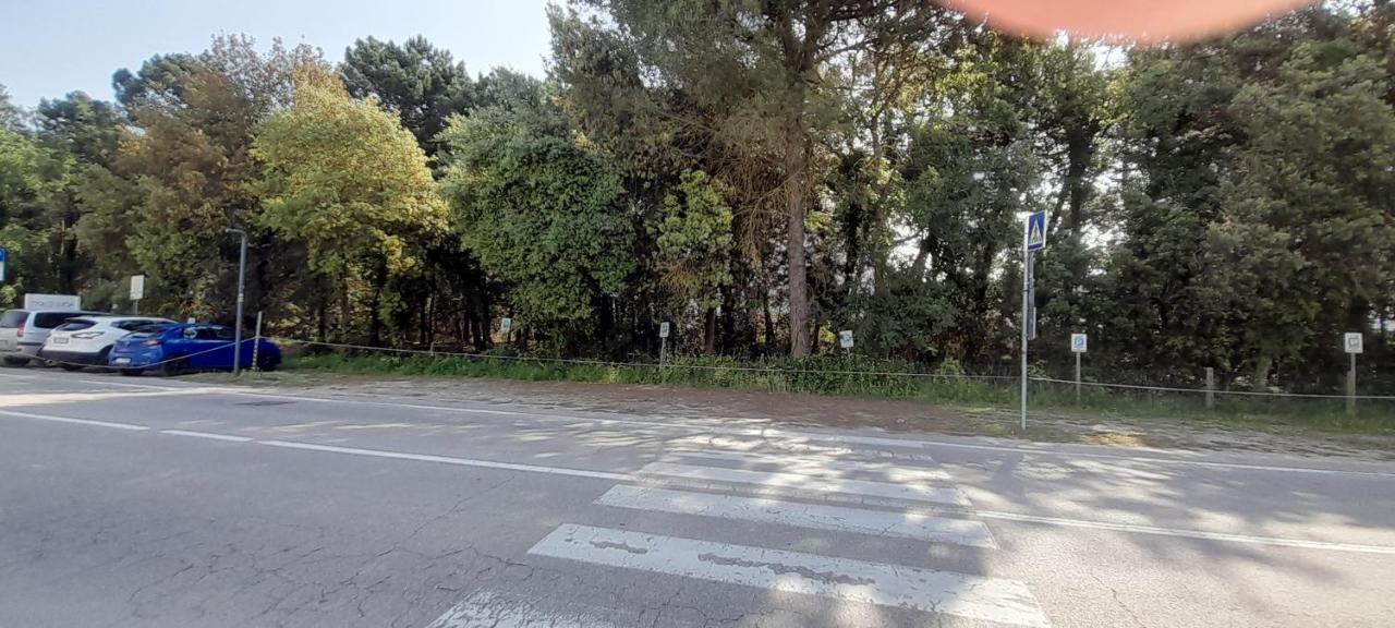 Hotel Maddalena Marina di Ravenna Zewnętrze zdjęcie